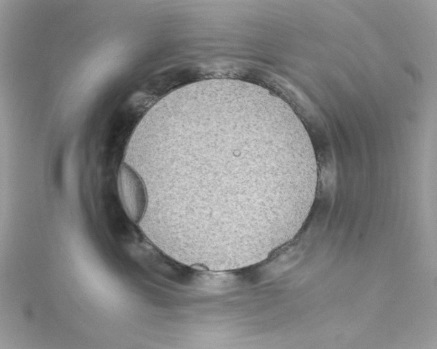 X0000114540429200911161401