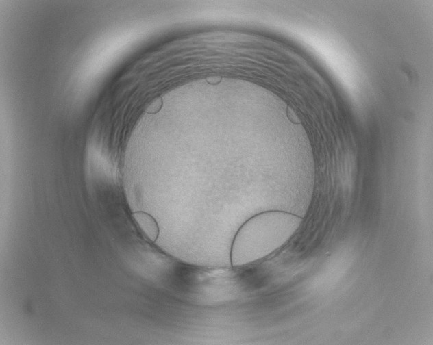 X0000114540431200911161401