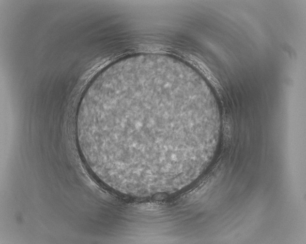 X0000114540433200911161400