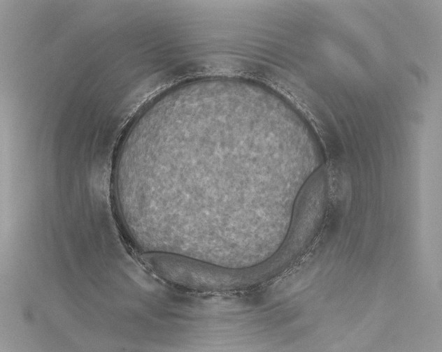 X0000114540434200911161400