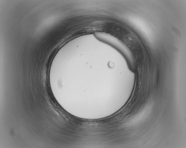 X0000114540435200911161401