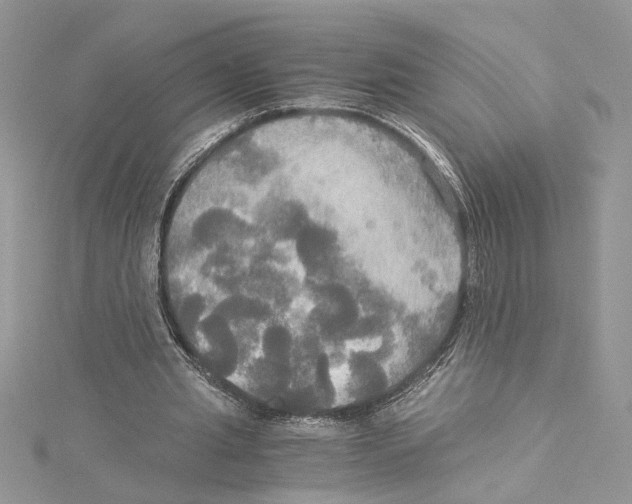 X0000114540437200911161401