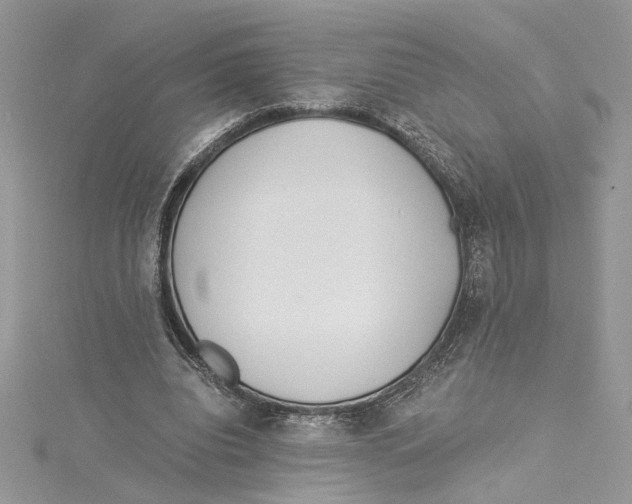 X0000114540440200911161401