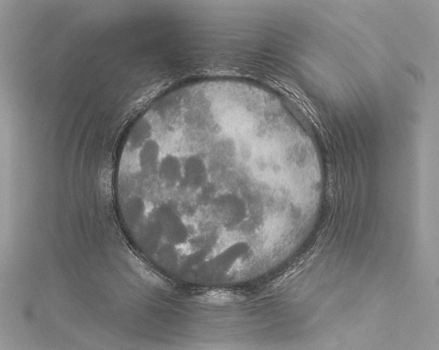 X0000114540441200911161401