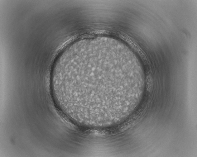 X0000114540442200911161401