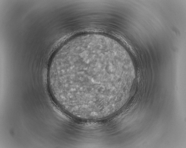 X0000114540445200911161401