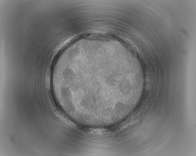 X0000114540446200911161401