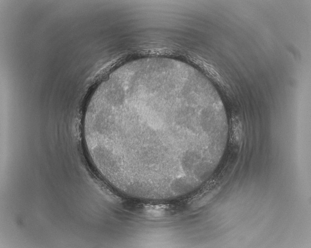 X0000114540450200911161401