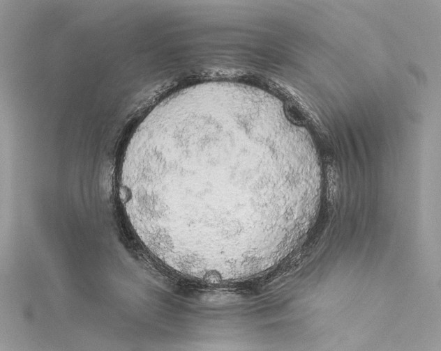 X0000114540451200911161401