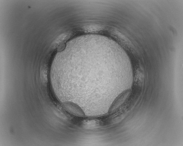 X0000114540452200911161401