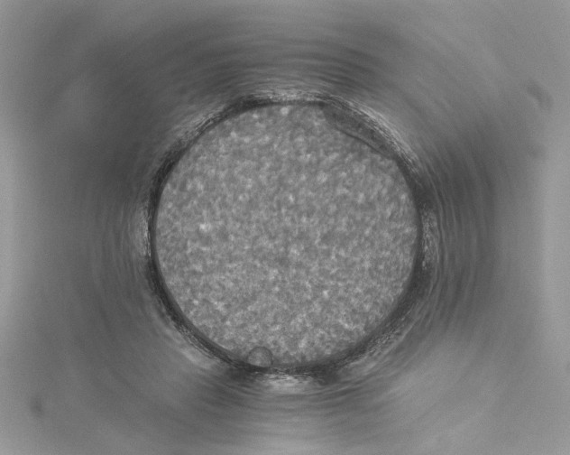 X0000114540453200911161401