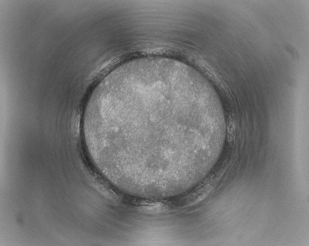 X0000114540454200911161401