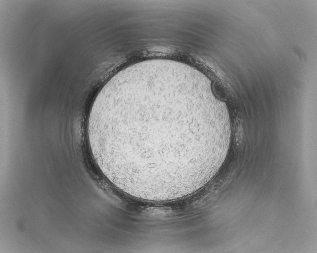 X0000114540455200911161401