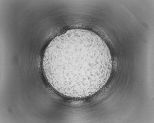 X0000114540458200911161401