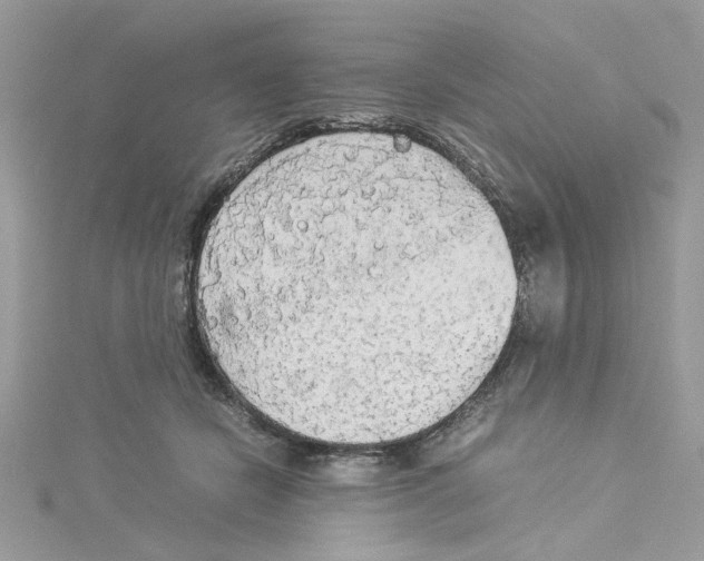 X0000114540462200911161401