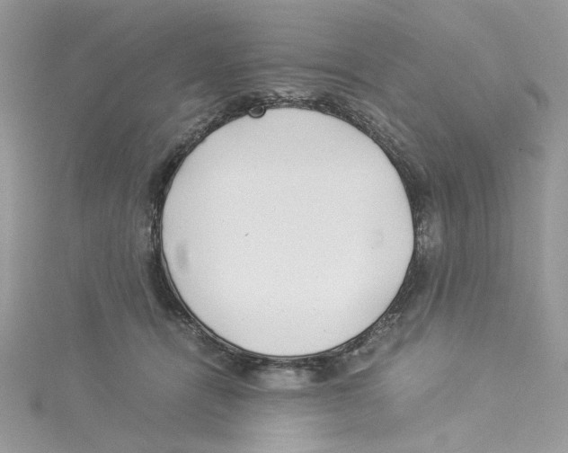 X0000114540464200911161401