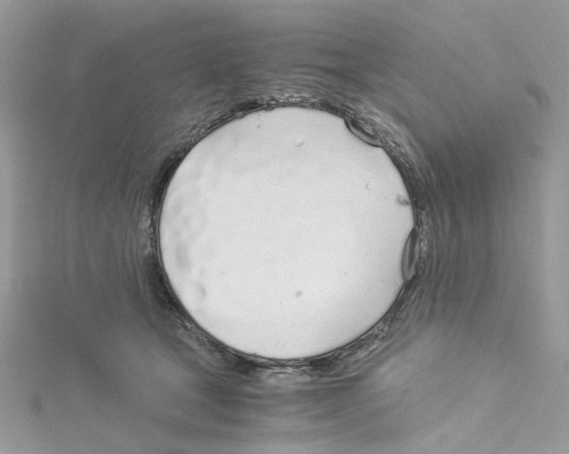 X0000114540465200911161401