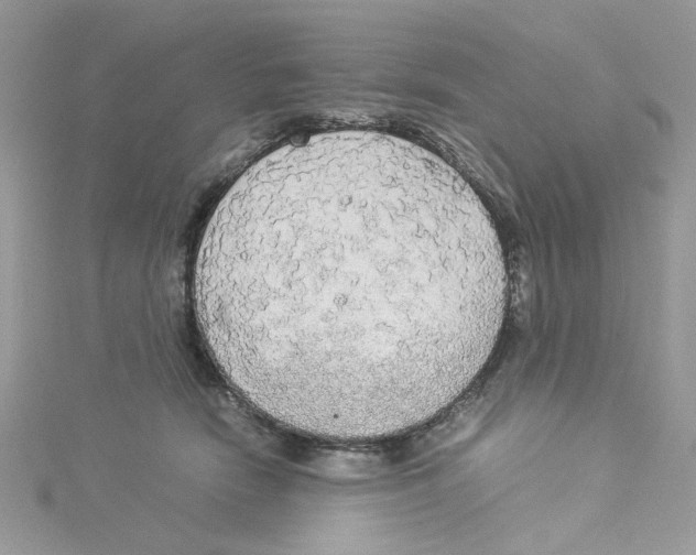 X0000114540466200911161401