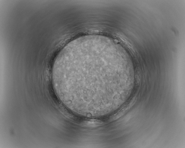 X0000114540467200911161401