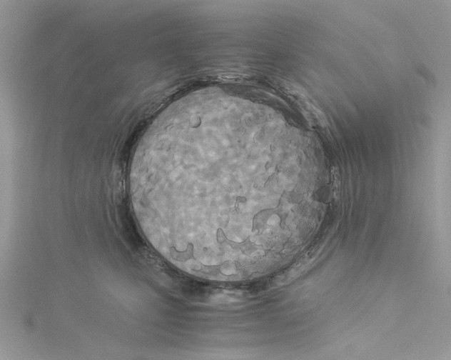 X0000114540471200911161401