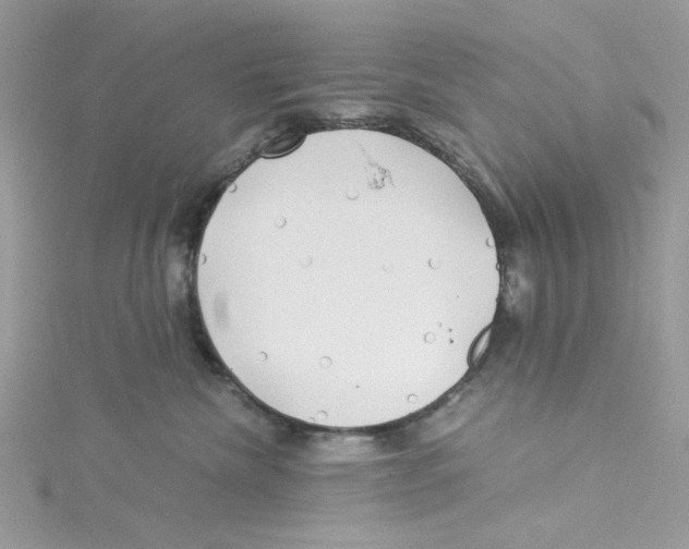 X0000114540476200911161401