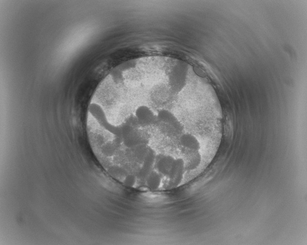 X0000114540477200911161401