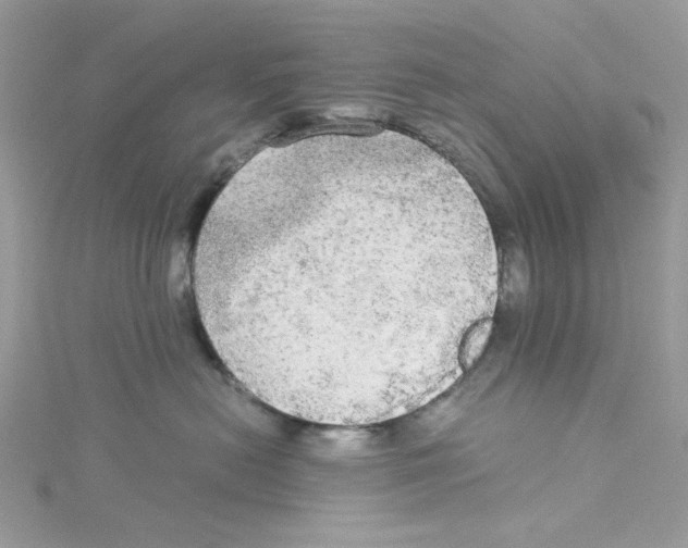 X0000114540478200911161401