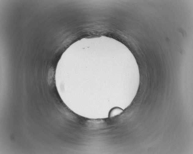 X0000114540480200911161401