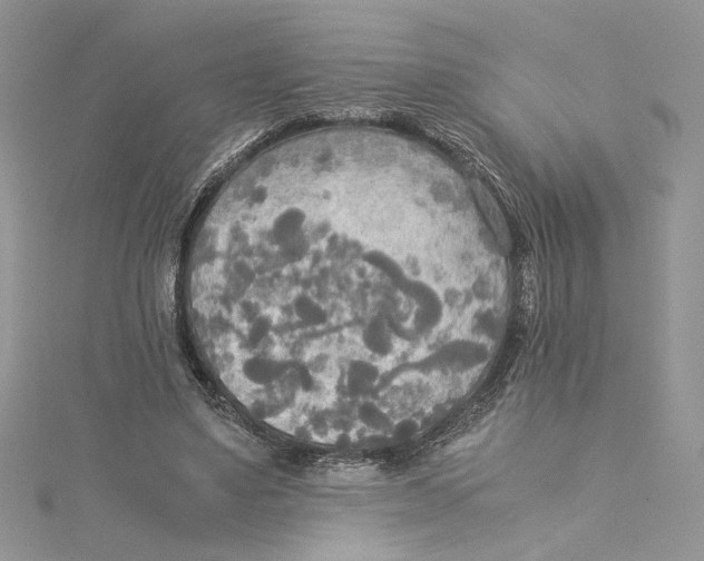 X0000114540491200911161400