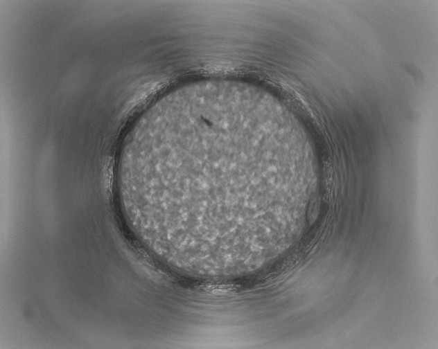 X0000114540495200911161400