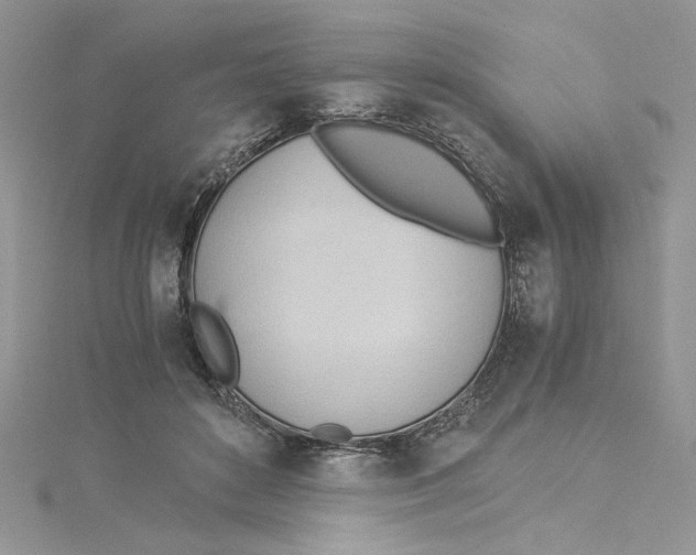 X0000114540504200911161400