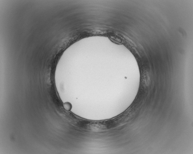 X0000114540512200911161400