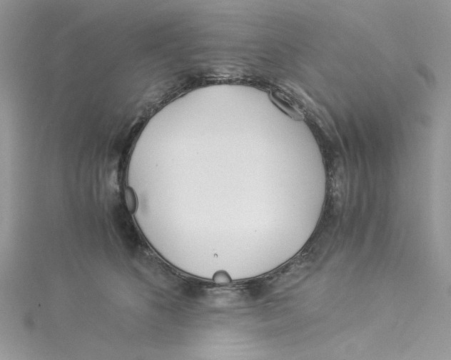 X0000114540516200911161400