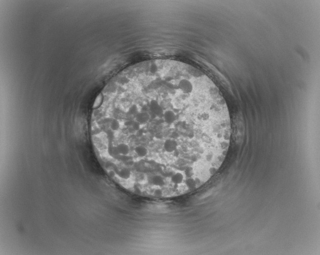 X0000114540523200911161400