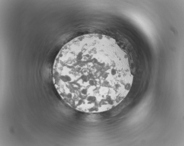 X0000114540527200911161400