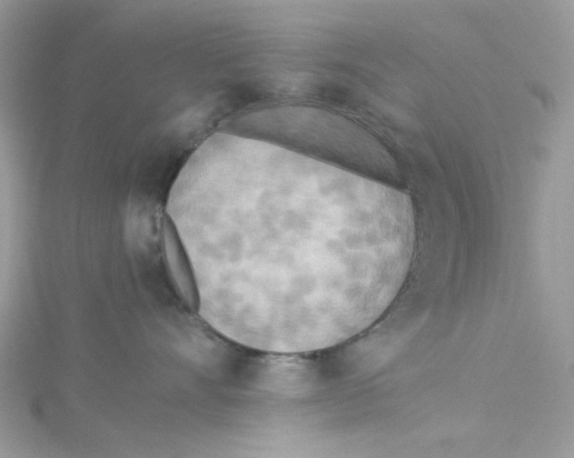 X0000114540528200911161400