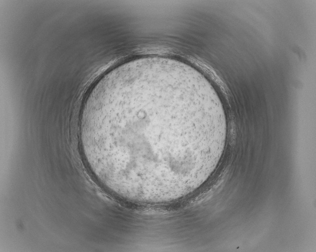 X0000114540529200911161359