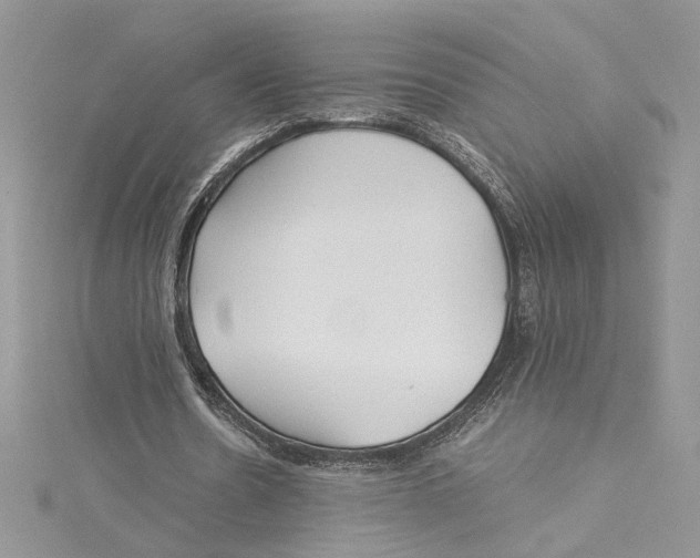 X0000114540530200911161359