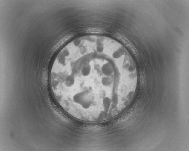 X0000114540533200911161359