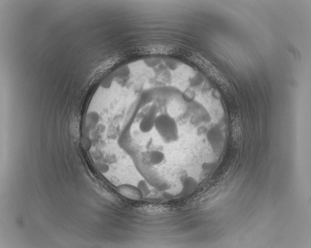 X0000114540537200911161359