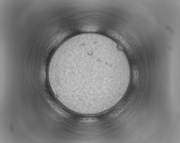 X0000114540541200911161359