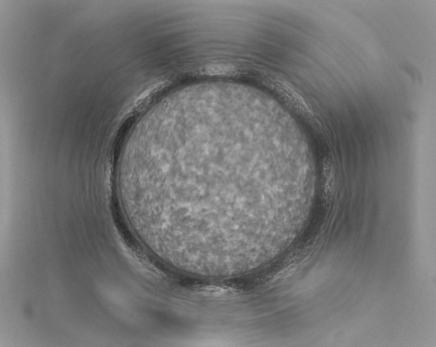 X0000114540542200911161359