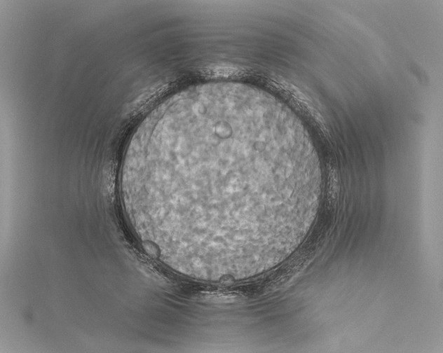 X0000114540545200911161359