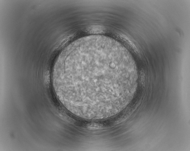 X0000114540549200911161359