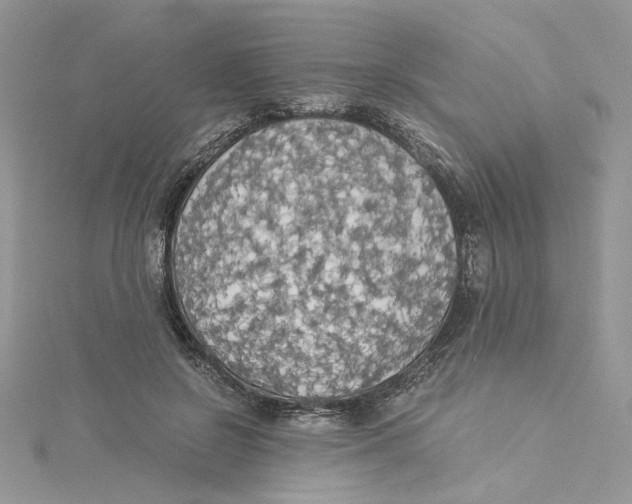 X0000114540550200911161359