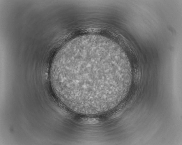 X0000114540553200911161359