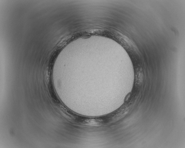 X0000114540558200911161400