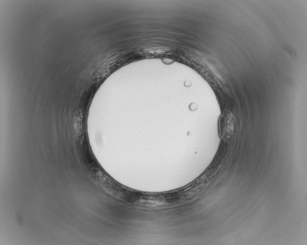 X0000114540559200911161400