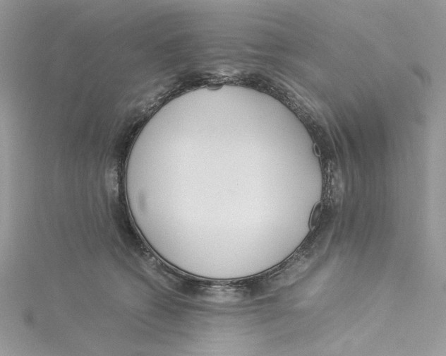 X0000114540562200911161400