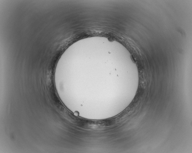 X0000114540563200911161400